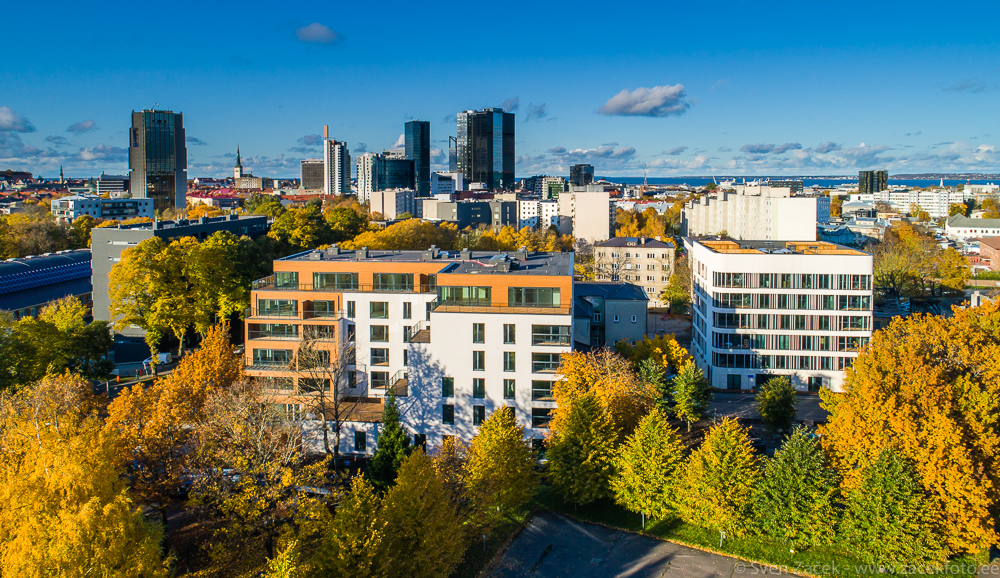 zf_DJI_0014